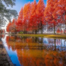 Схема вышивки «Ho nuoc»