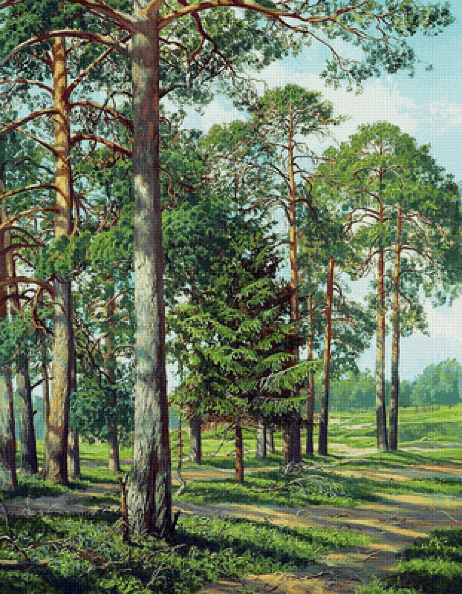 Сосновый лес. Андрей Герасимов - русские художники - предпросмотр