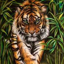 Схема вышивки «№2404025»