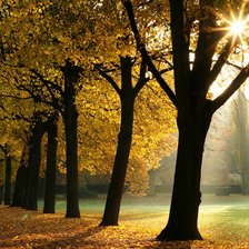 Схема вышивки «Осень»