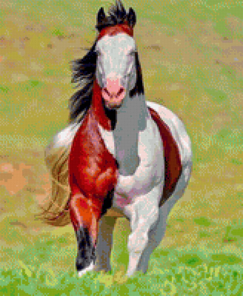 Лошадь - лошади, миф - предпросмотр