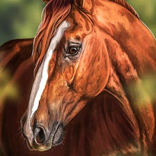 Схема вышивки «Конь»