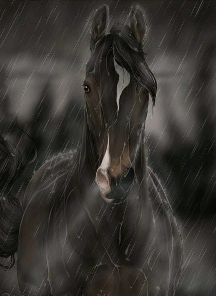 Лошадь - лошади, миф - оригинал