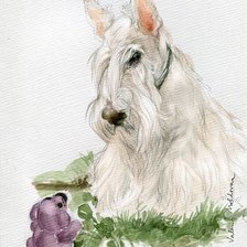 Схема вышивки «Мишель»