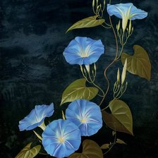 Схема вышивки «цветы»