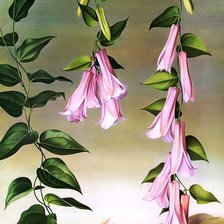 Схема вышивки «цветы»