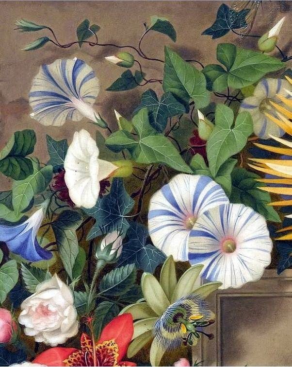 242 - ale - оригинал