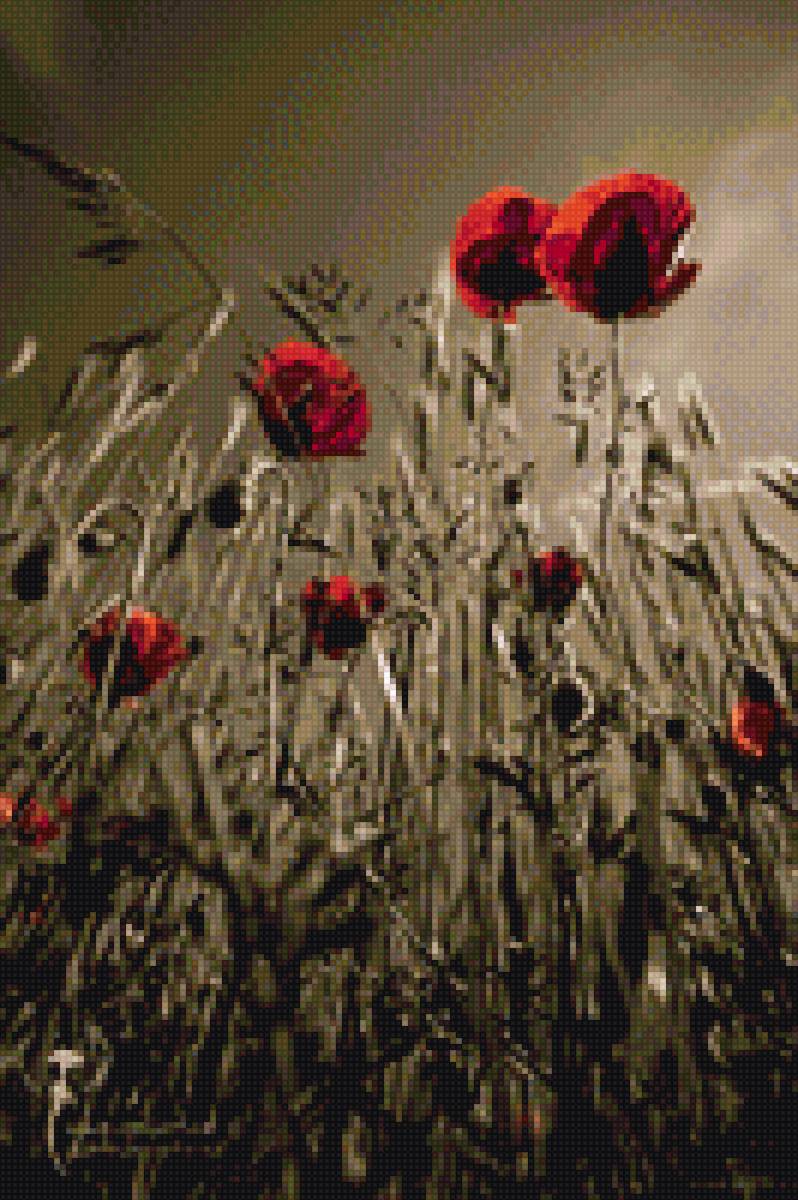 Маки - маки - предпросмотр