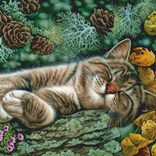 Схема вышивки «Gato.»