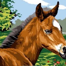 Схема вышивки «Лоша»