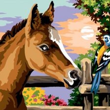 Схема вышивки «Жеребенок»