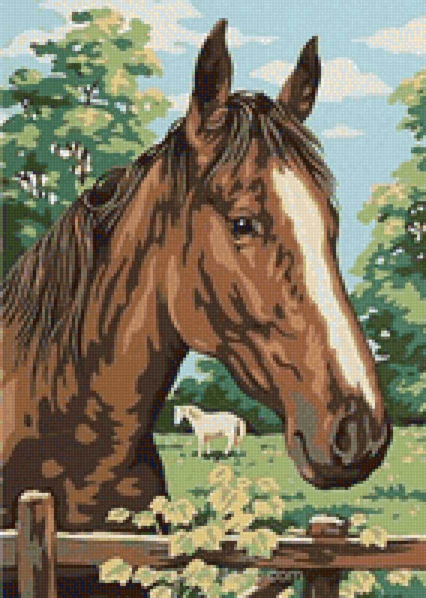 Лошадь - миф, лошади - предпросмотр