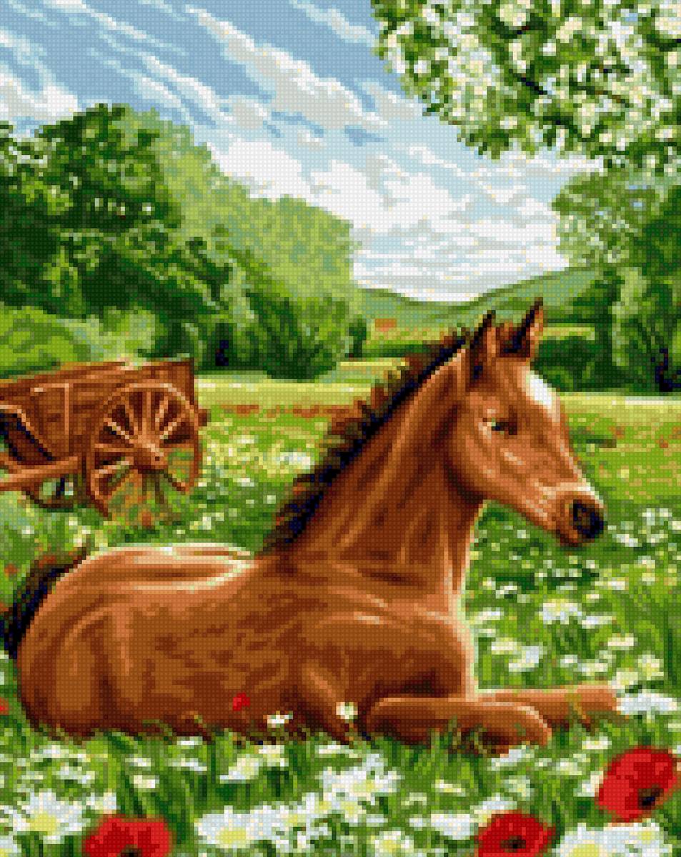 В поле - лошади, миф - предпросмотр