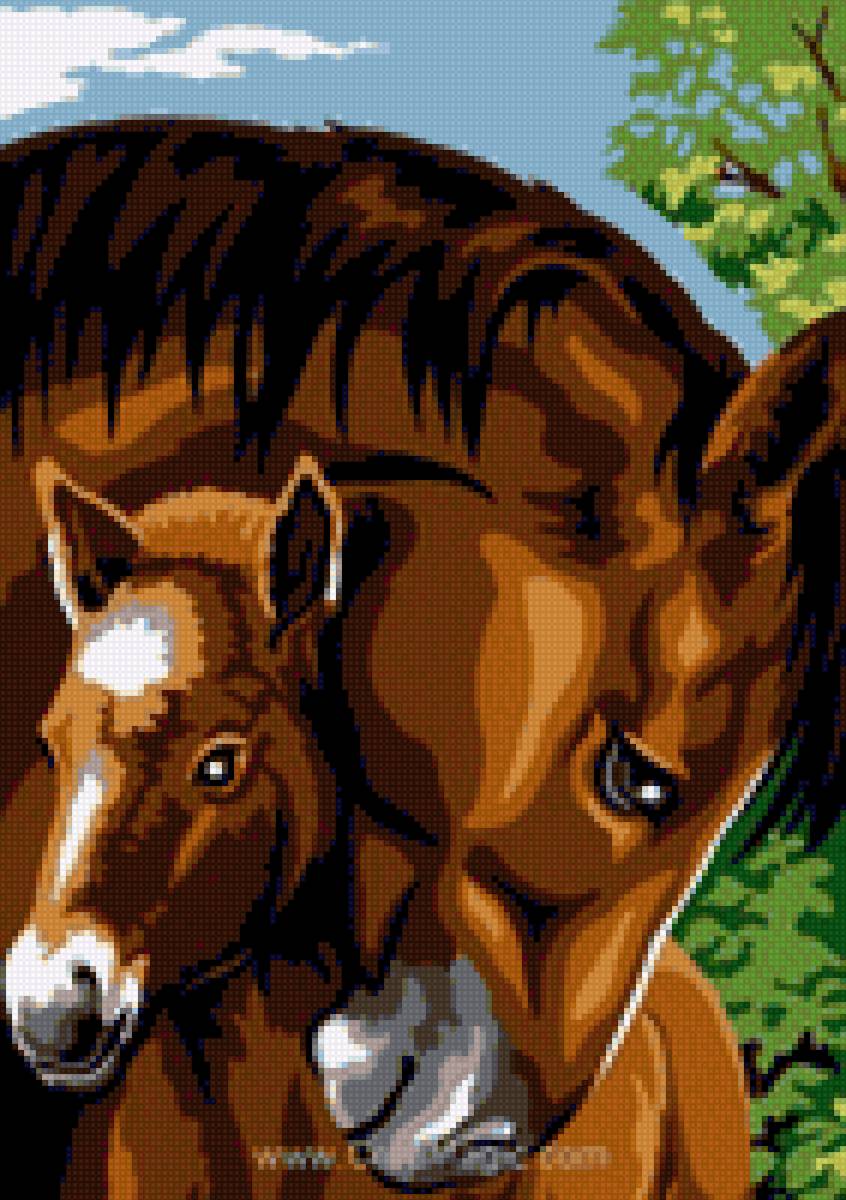 Нежность - миф, лошади - предпросмотр