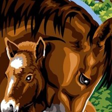 Схема вышивки «Нежность»