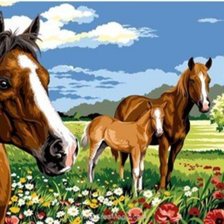 Схема вышивки «На лугу»