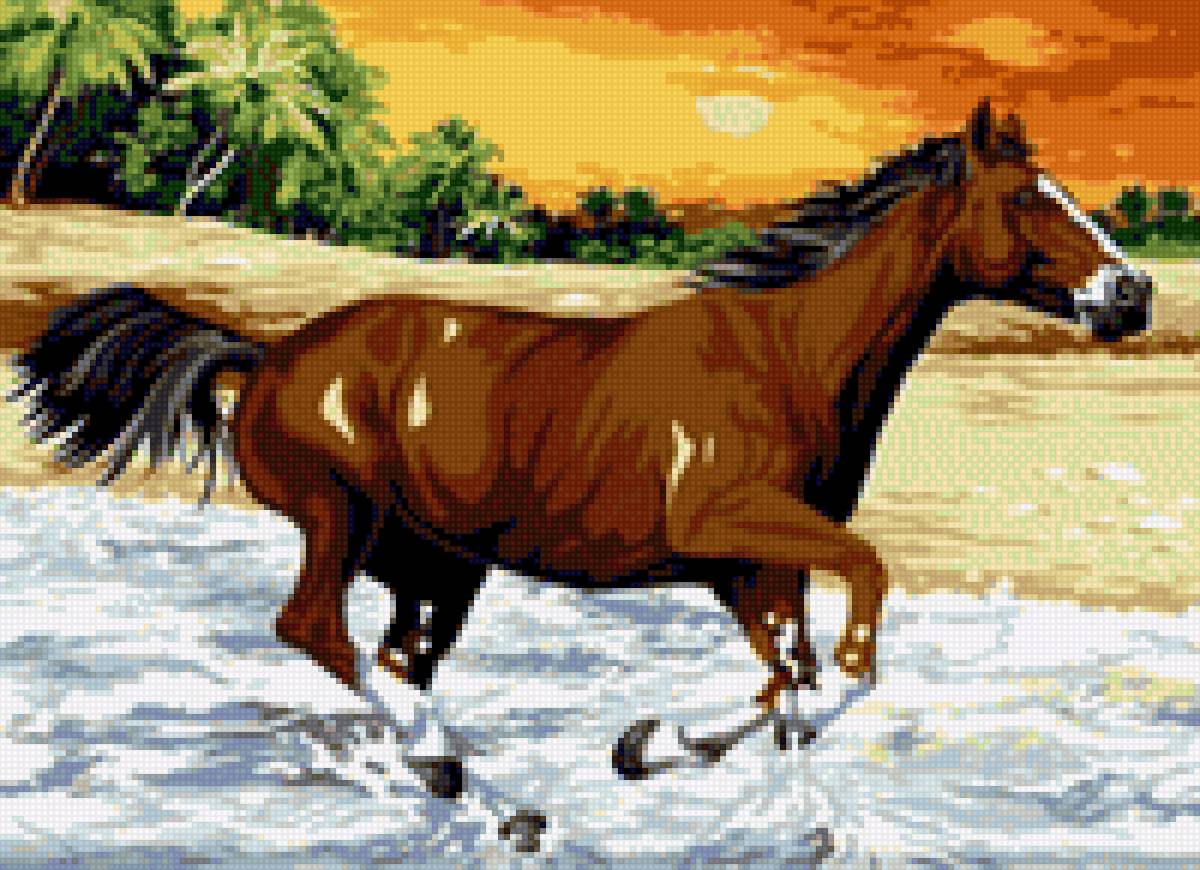 На воле - миф, лошади - предпросмотр