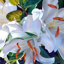 Схема вышивки «№2406816»