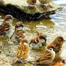 Схема вышивки «№2406823»