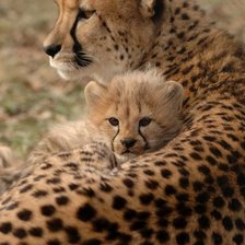 Схема вышивки «№2406848»