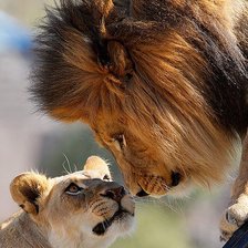 Схема вышивки «№2406851»