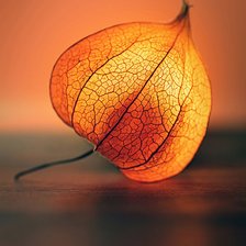 Схема вышивки «№2406857»