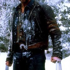 Схема вышивки «Росомаха»