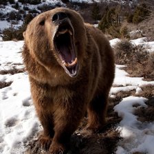 Схема вышивки «медведь»