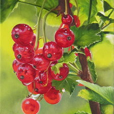 Схема вышивки «лето»