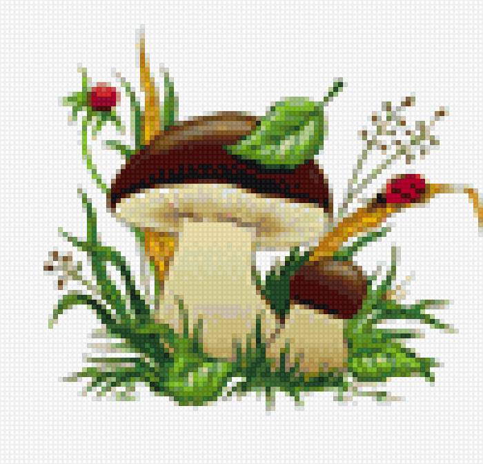 Белый гриб - гриб - предпросмотр