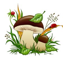 Схема вышивки «Белый гриб»