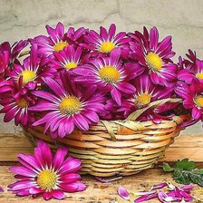 Схема вышивки «Корзинка с цветами»