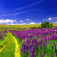 Схема вышивки «Пейзаж с люпинами»