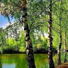 Схема вышивки «Пруд»