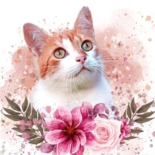 Схема вышивки «Gato.»