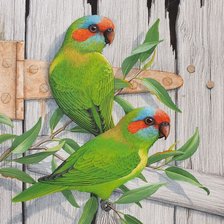 Схема вышивки «Pássaros.»