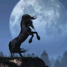 Схема вышивки «При луне»