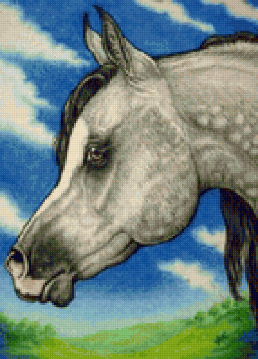 Красавчик - миф, лошади - предпросмотр