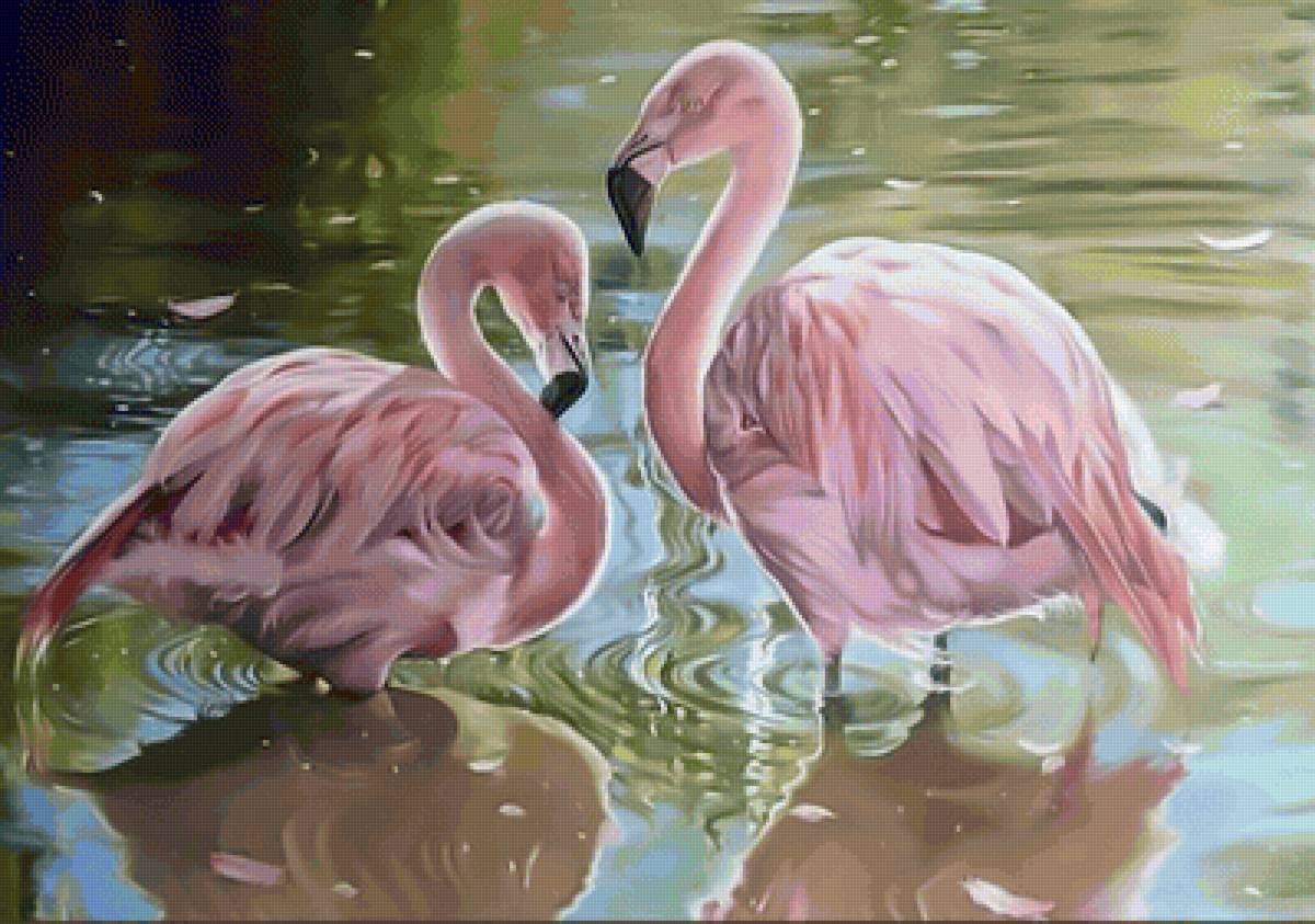 Фламинго - фламинго - предпросмотр