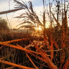 Схема вышивки «Рассвет»