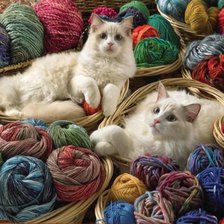 Схема вышивки «Gatitos»