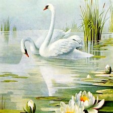 Схема вышивки «Два лебедя»