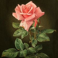 Схема вышивки «🌹»