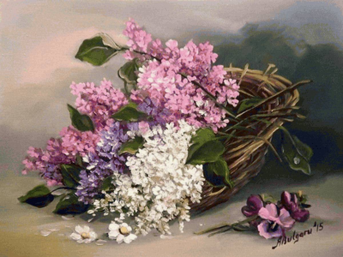 Ветка сирени - сирень - предпросмотр