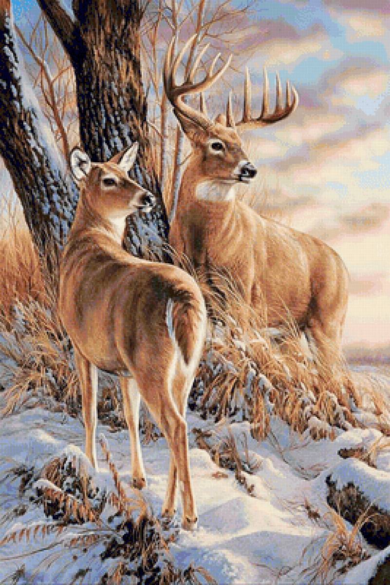 Олени - зима, олени - предпросмотр