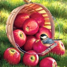 Схема вышивки «Яблоки»