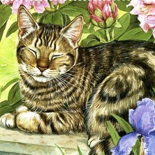 Схема вышивки «Gato.»