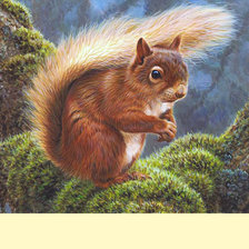 Схема вышивки «Серия "Грызуны". Белка»