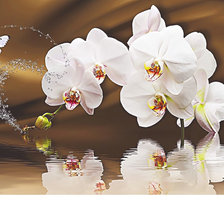 Схема вышивки «Серия "Цветы". Орхидеи.»