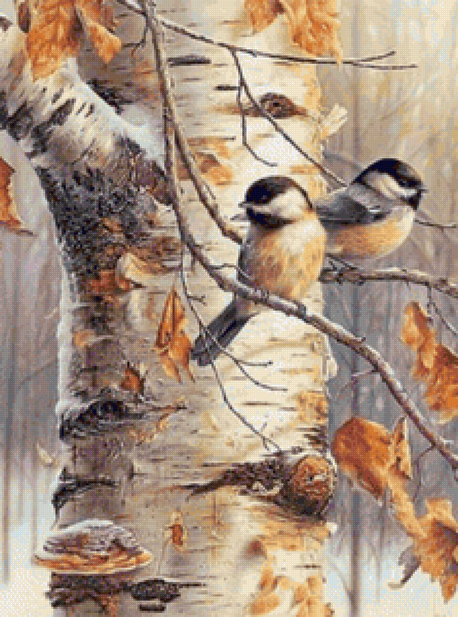 Птички на ветке - птица, береза, осень, ветка - предпросмотр